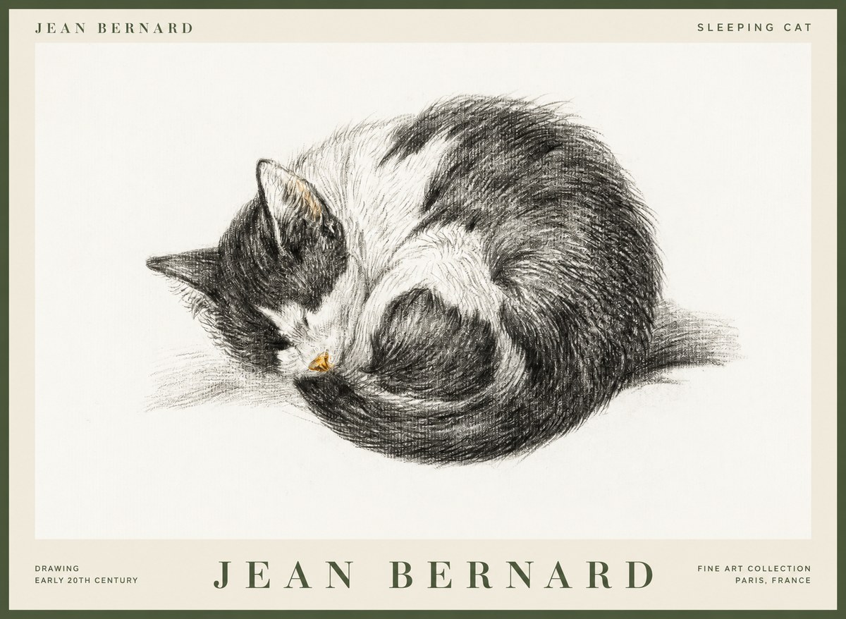 Jean Bernard Sleeping Cat VIII No1 - Juliste