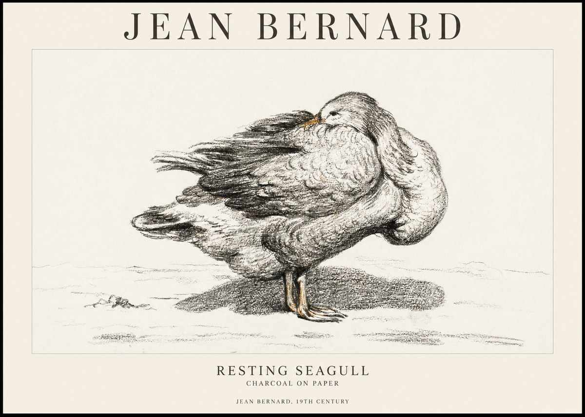 Jean Bernard Resting Seagull No1 - Juliste