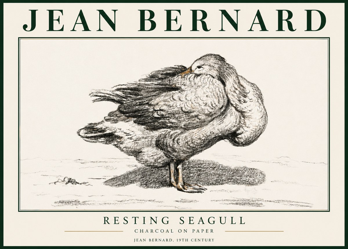 Jean Bernard Resting Seagull No3 - Juliste