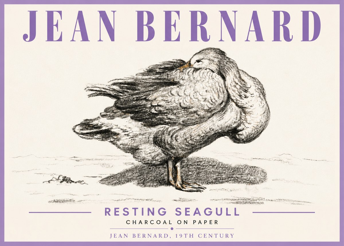 Jean Bernard Resting Seagull No6 - Juliste
