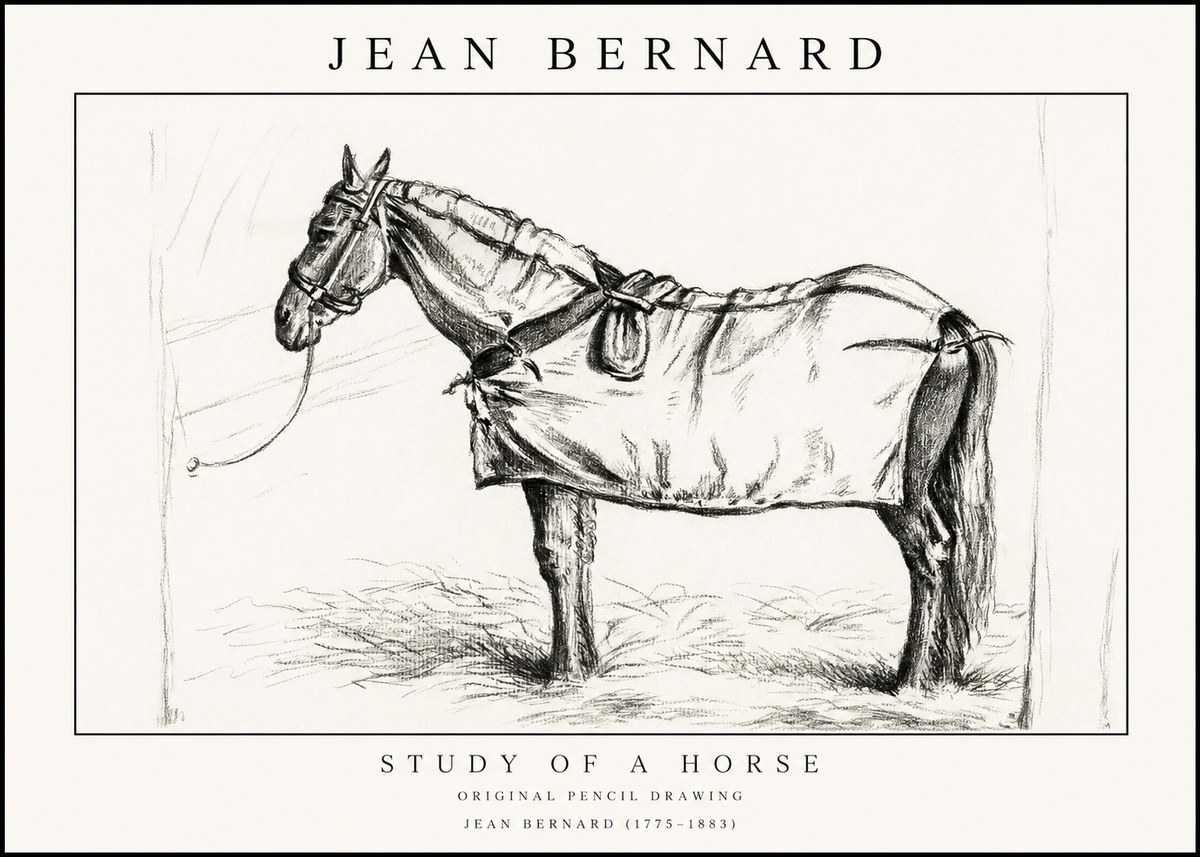 Jean Bernard Study of a Horse XI No1 - Juliste
