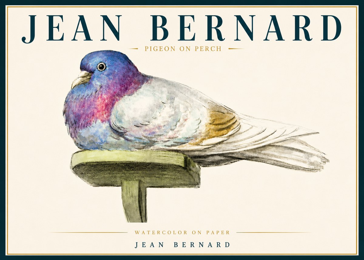 Jean Bernard Pigeon on Perch No5 - Juliste