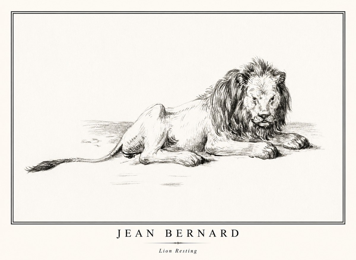 Jean Bernard Lion Resting No1 - Juliste