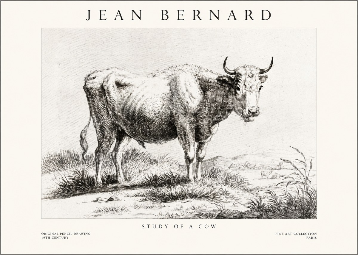 Jean Bernard Study of a Cow XVI No1 - Juliste