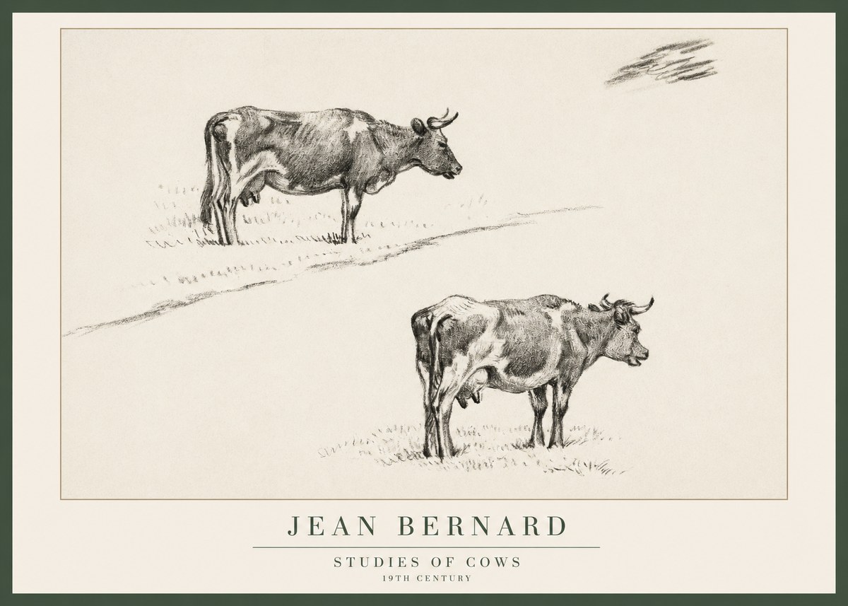 Jean Bernard Studies of Cows III No1 - Juliste
