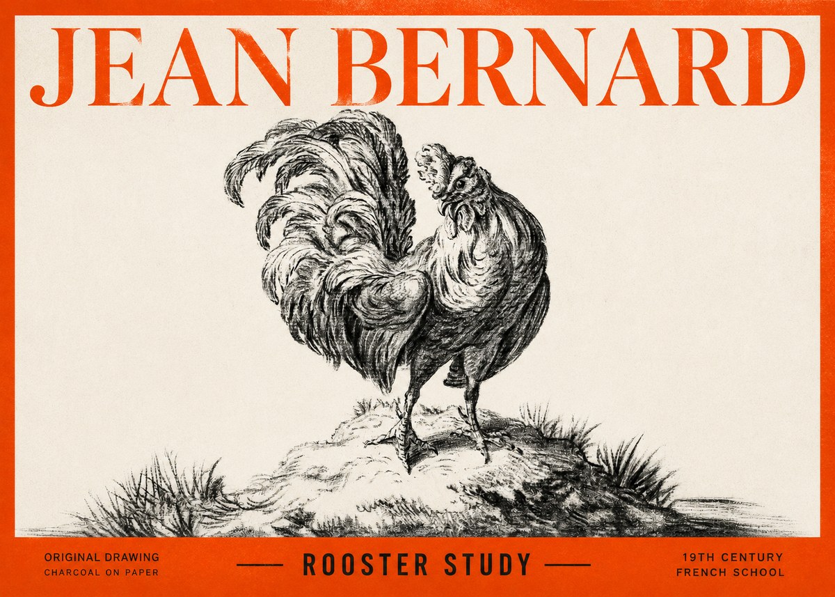 Jean Bernard Study of a Rooster No3 - Juliste