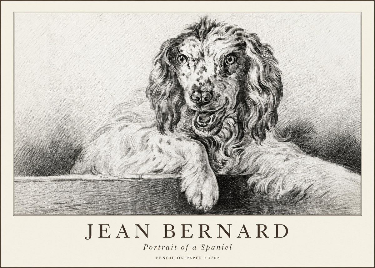 Jean Bernard Portrait of a Spaniel No1 - Juliste