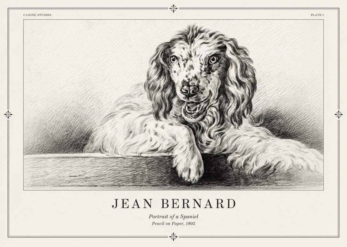Jean Bernard Portrait of a Spaniel No2 - Juliste
