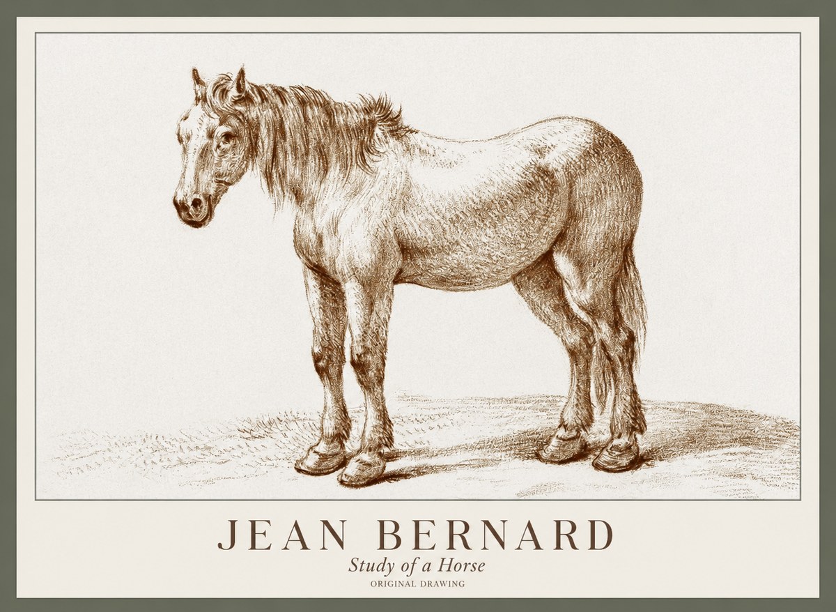Jean Bernard Study of a Horse XIV No1 - Juliste