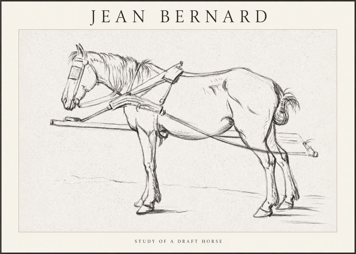 Jean Bernard Study of a Draft Horse II No1 - Juliste