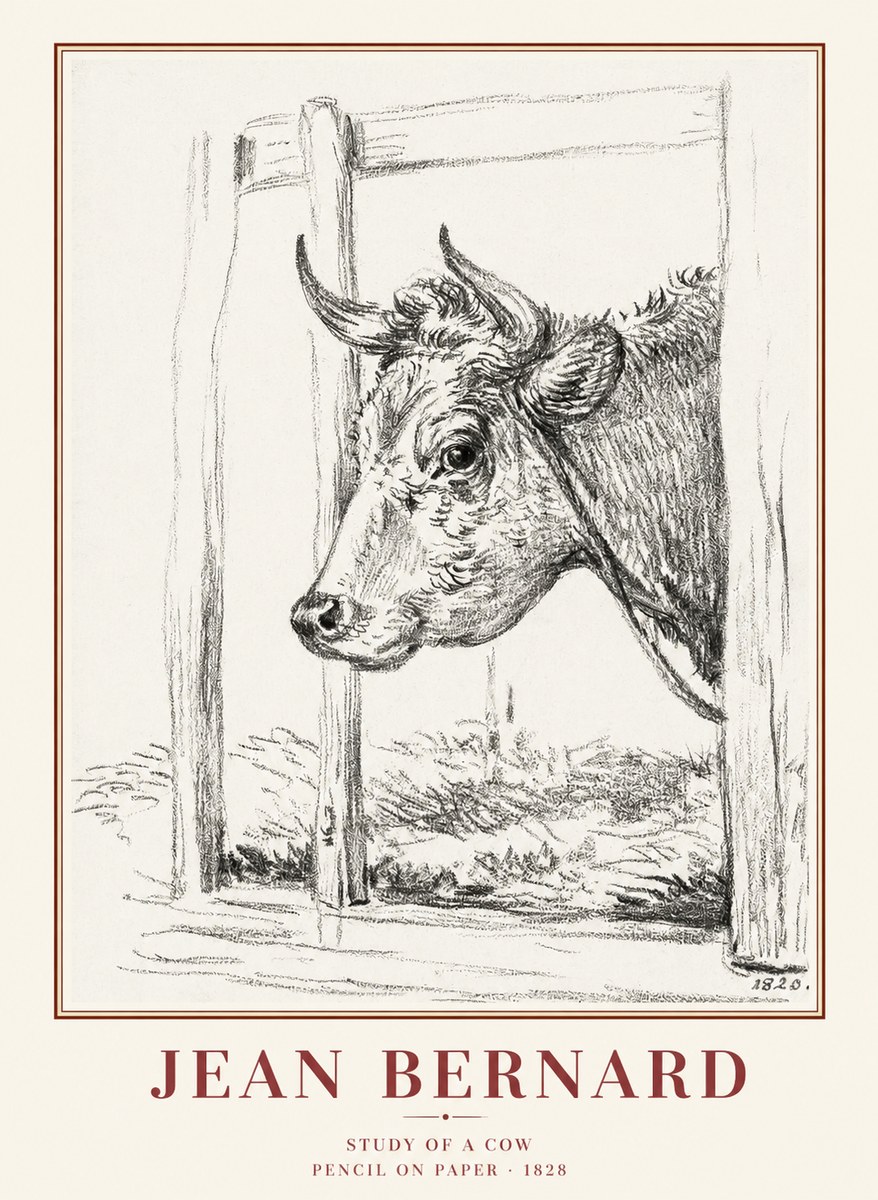 Jean Bernard Study of a Cow XVIII No1 - Juliste