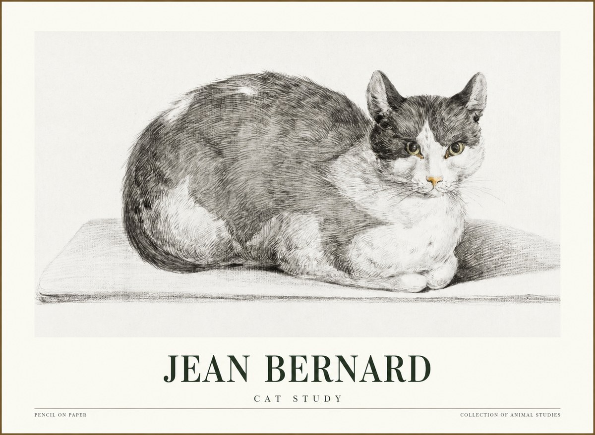 Jean Bernard Cat Study XI No1 - Juliste