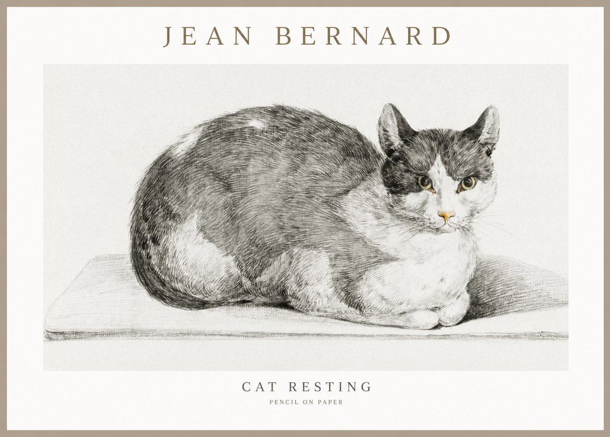 Jean Bernard Cat Study XI No3 - Juliste