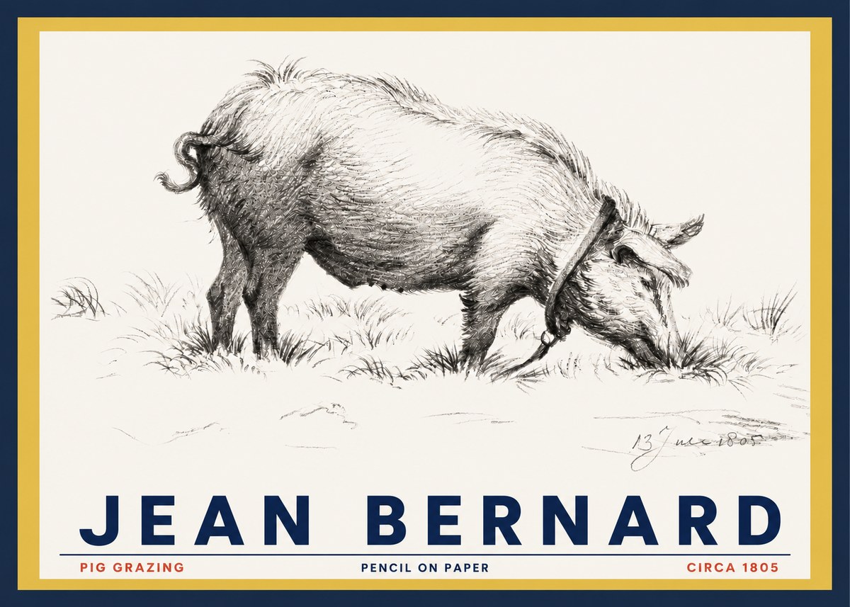 Jean Bernard Pig Grazing No3 - Juliste