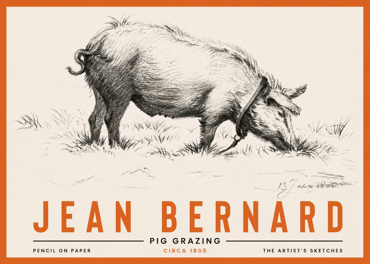 Jean Bernard Pig Grazing No4 - Juliste