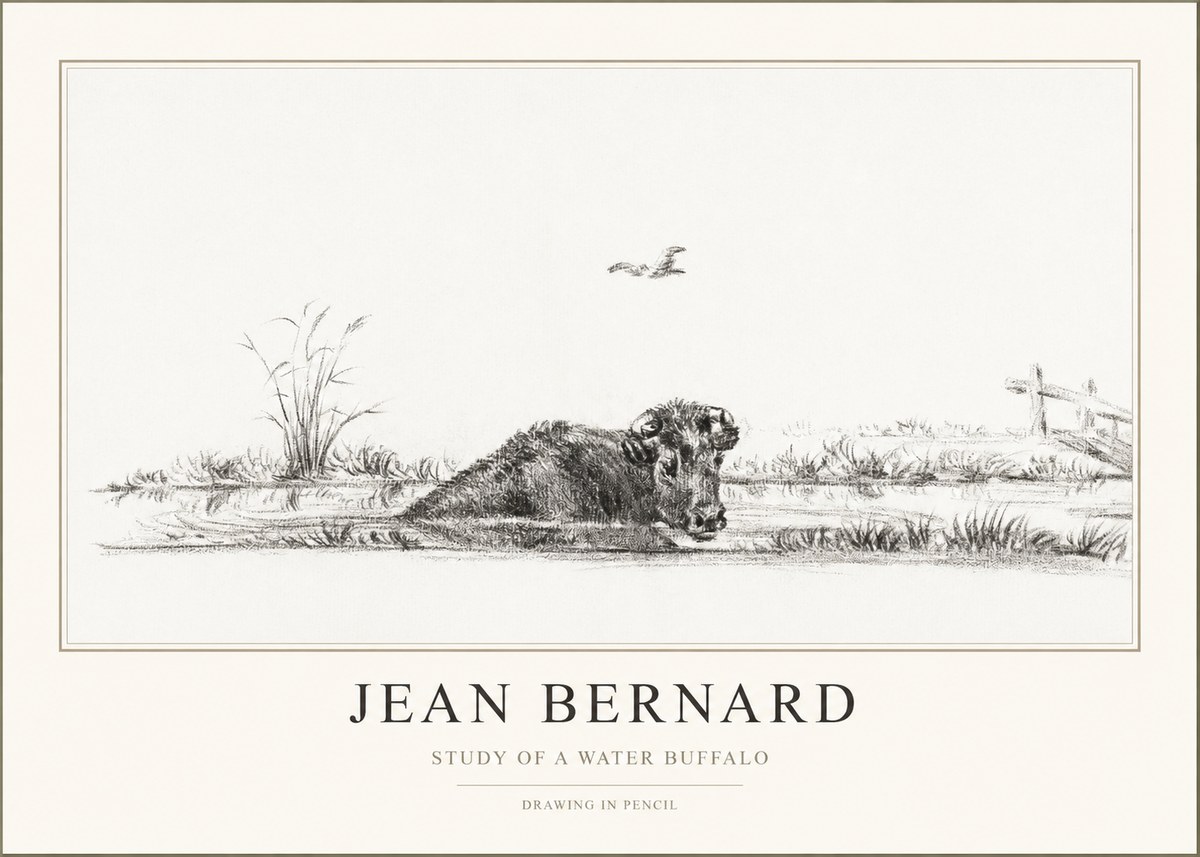 Jean Bernard Study of a Water Buffalo No1 - Juliste