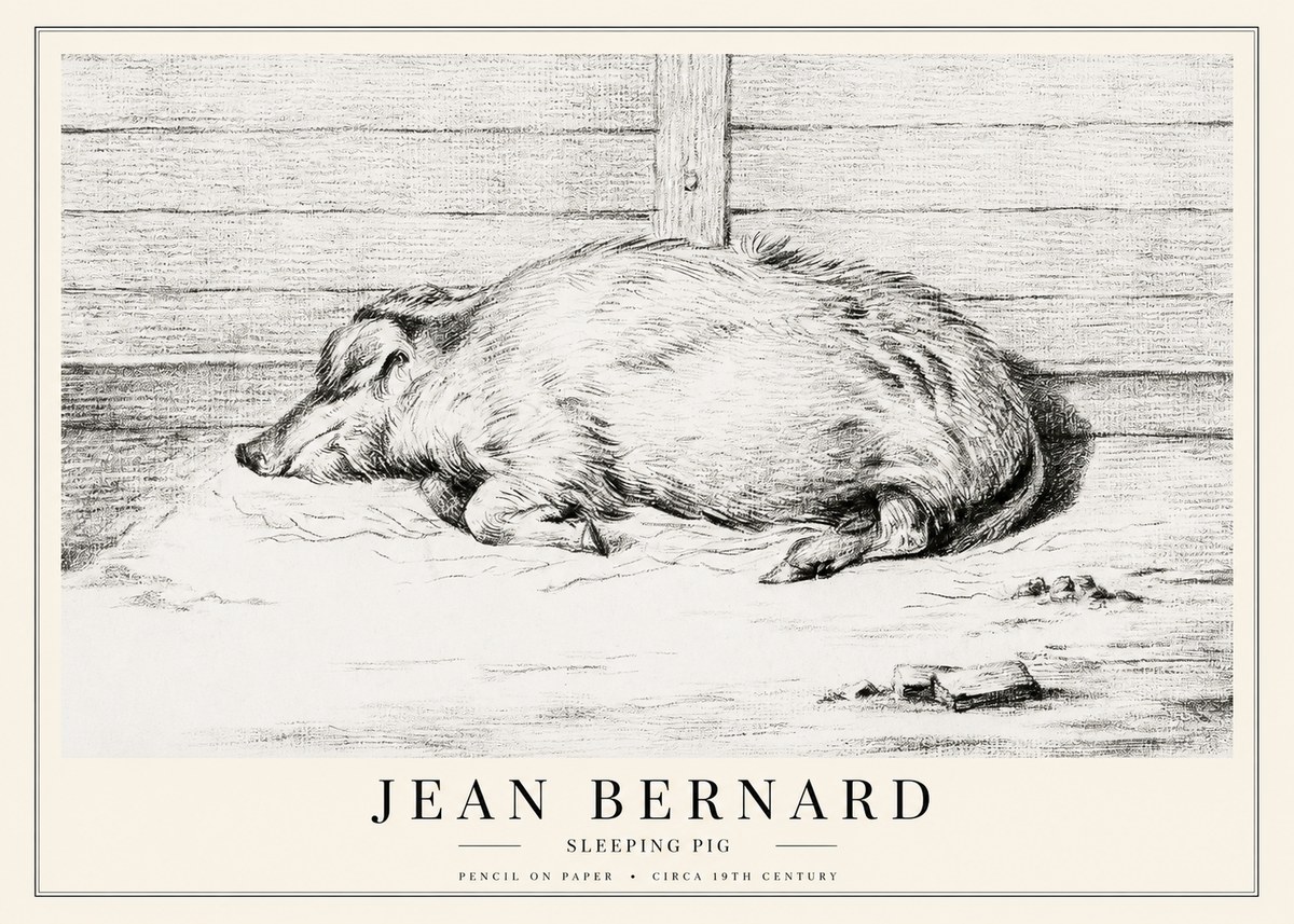 Jean Bernard Sleeping Pig I No1 - Juliste