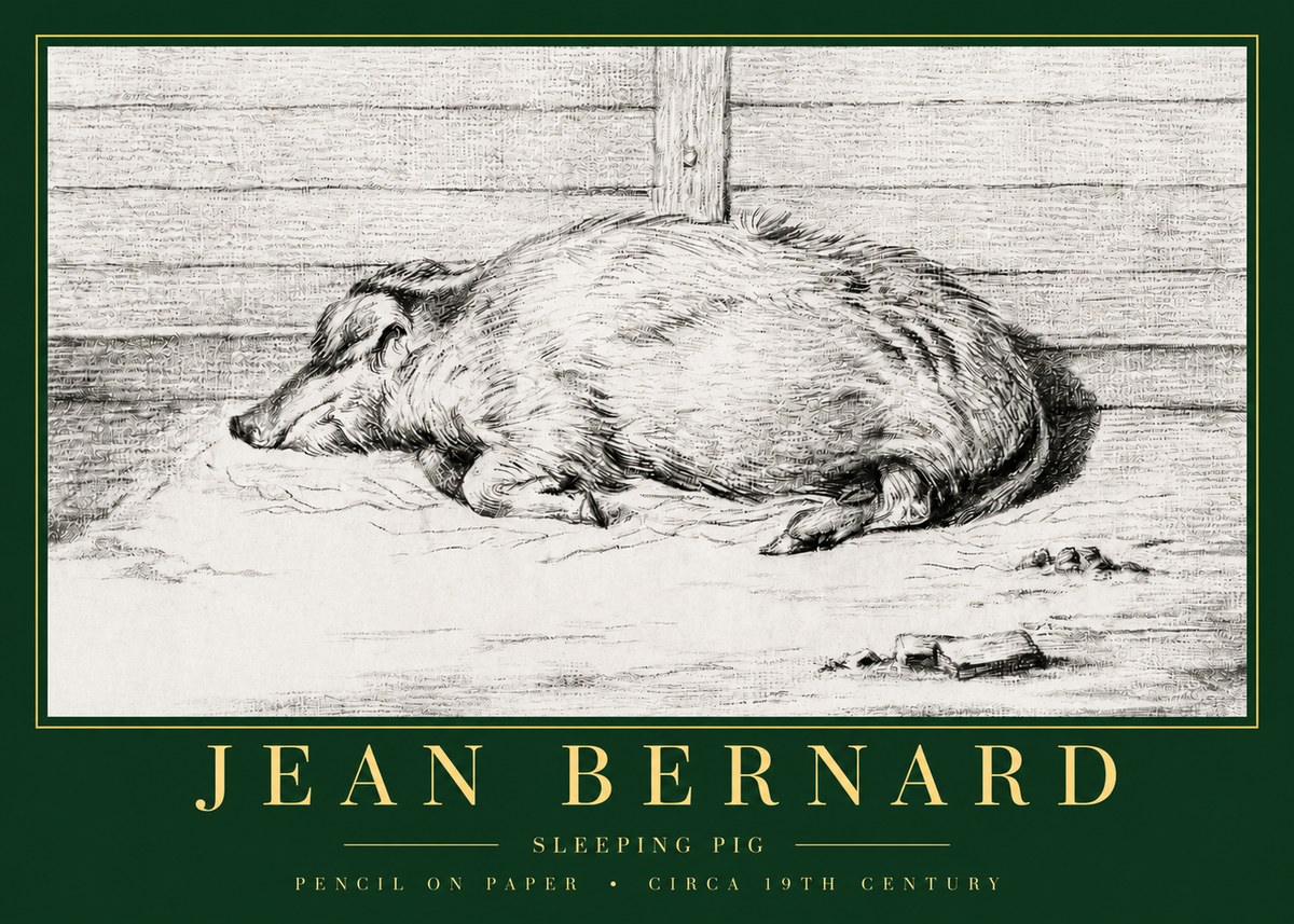 Jean Bernard Sleeping Pig I No3 - Juliste