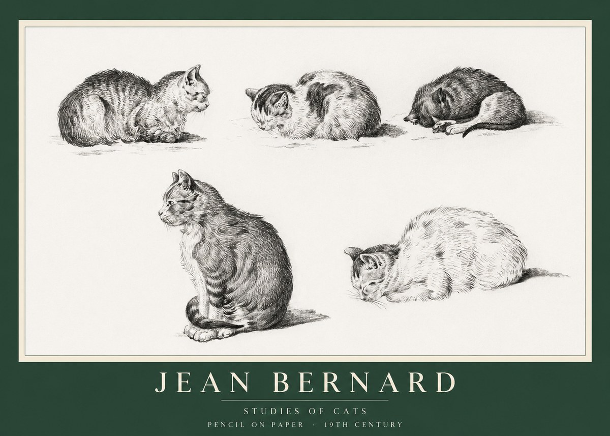Jean Bernard Studies of Cats No1 - Juliste