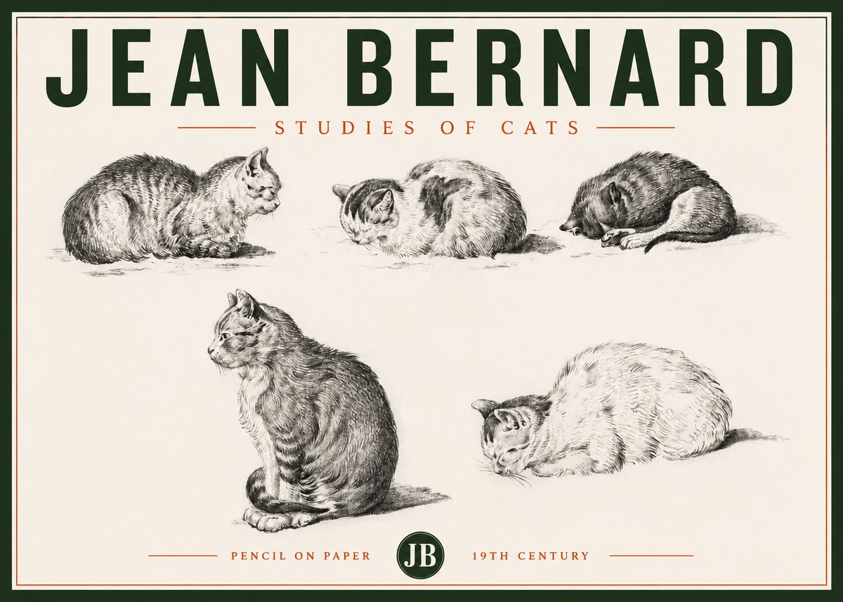 Jean Bernard Studies of Cats No4 - Juliste