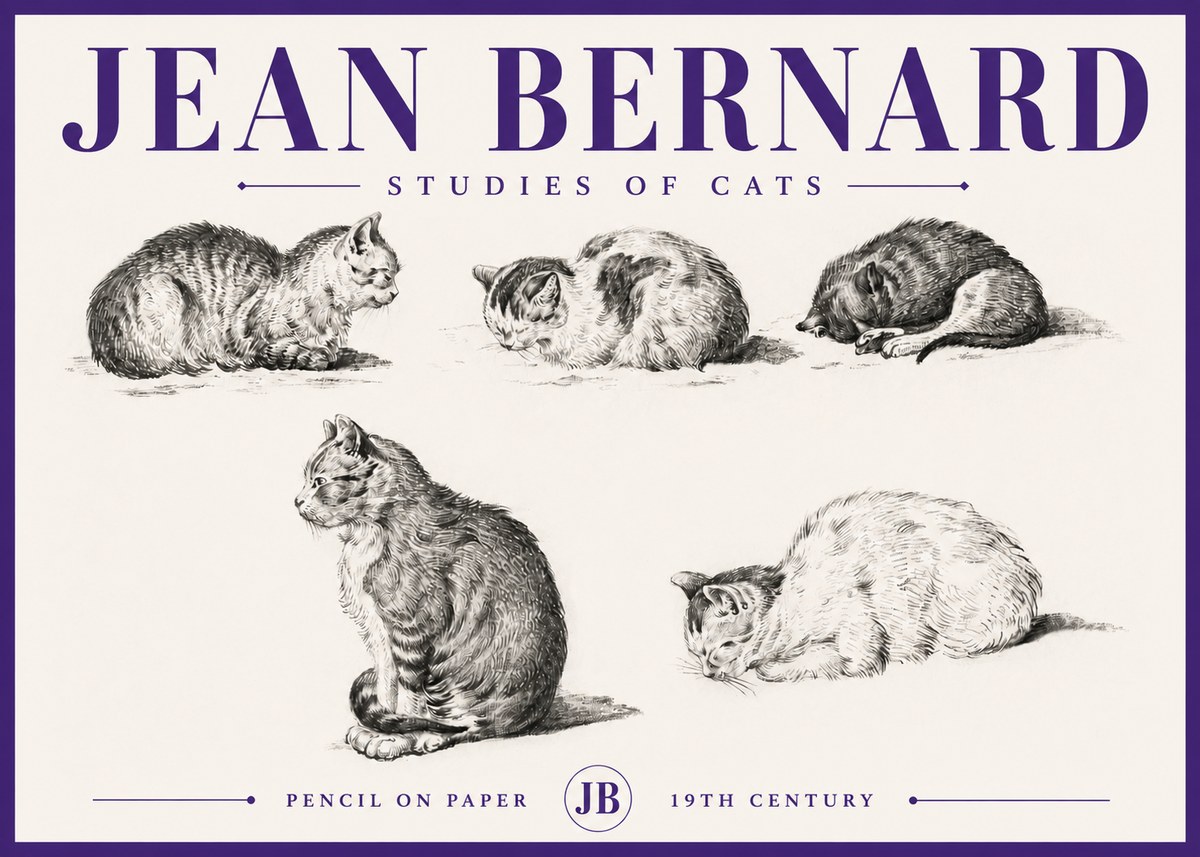 Jean Bernard Studies of Cats No5 - Juliste