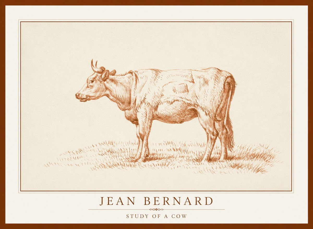 Jean Bernard Study of a Cow XIX No1 - Juliste