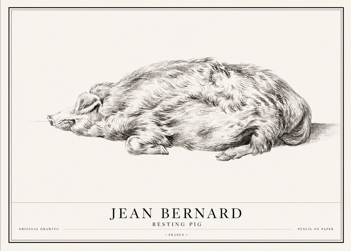 Jean Bernard Resting Pig II No1 - Juliste
