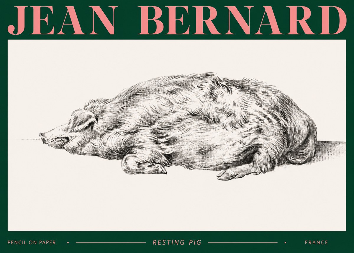 Jean Bernard Resting Pig II No2 - Juliste