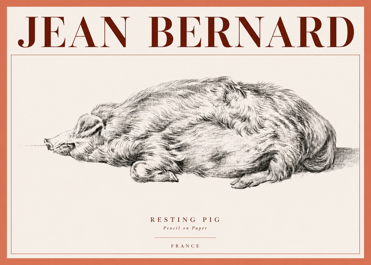 Jean Bernard Resting Pig II No4 - Juliste