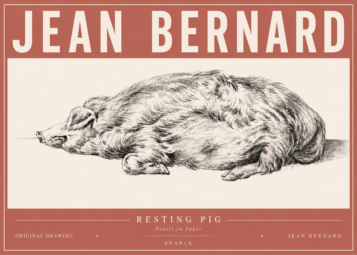 Jean Bernard Resting Pig II No6 - Juliste
