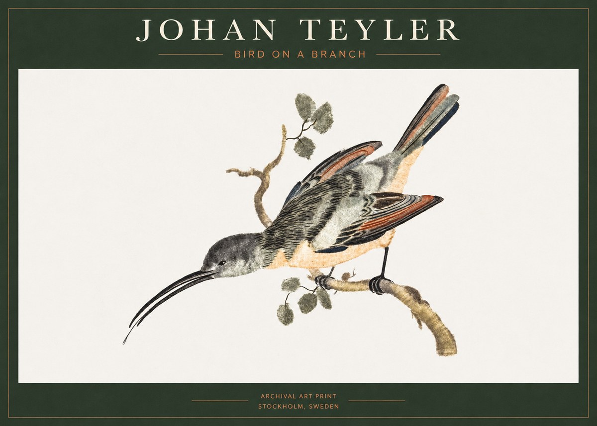 Johan Teyler Bird on a Branch No1 - Juliste