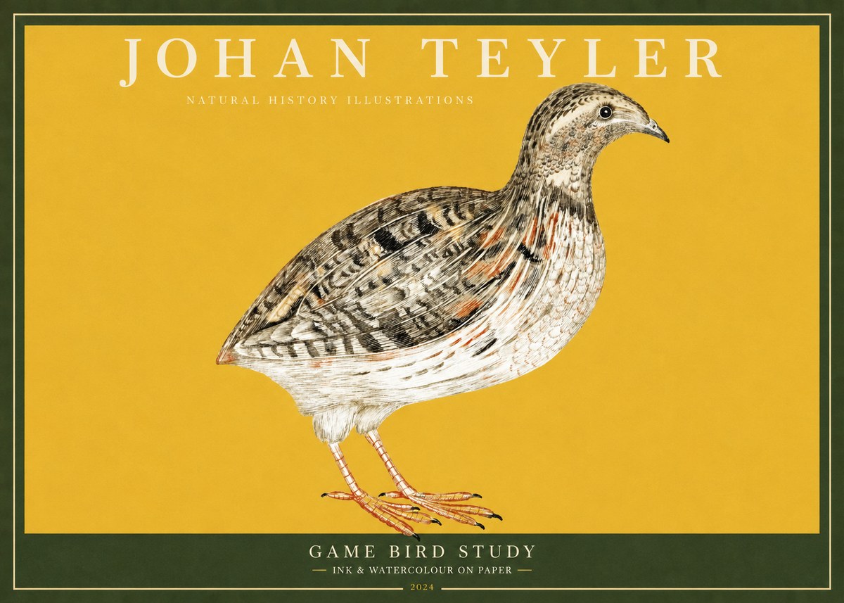 Johan Teyler Game Bird Study No2 - Juliste