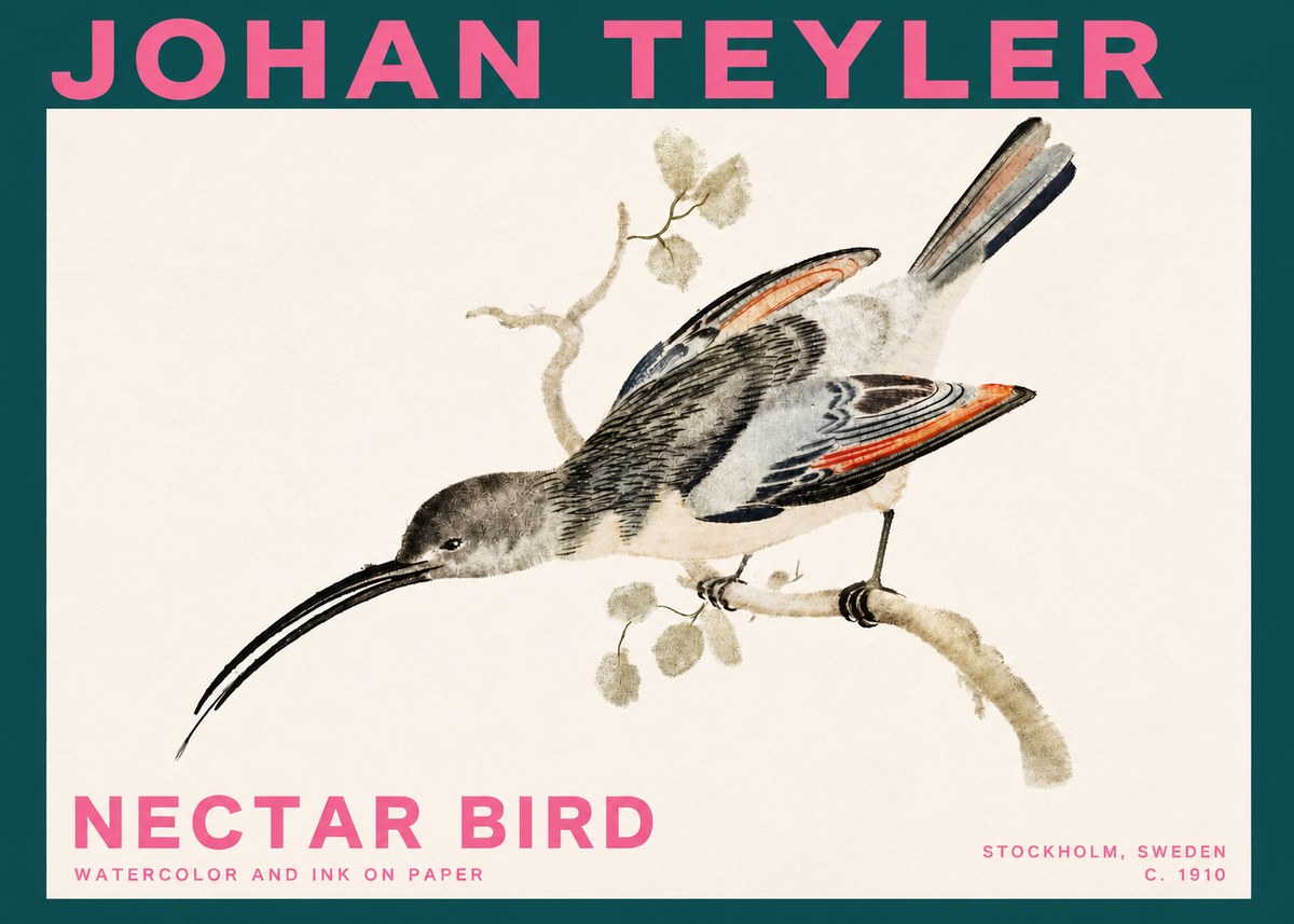 Johan Teyler Nectar Bird No3 - Juliste