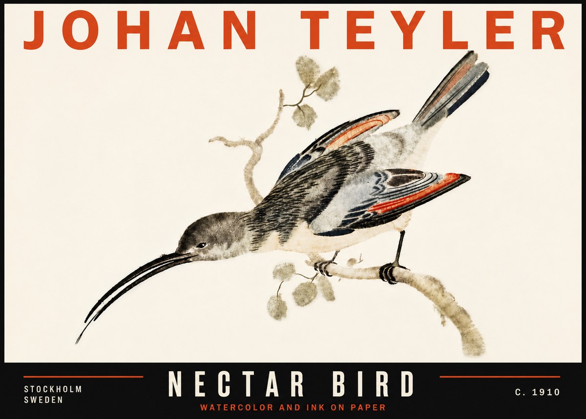 Johan Teyler Nectar Bird No6 - Juliste