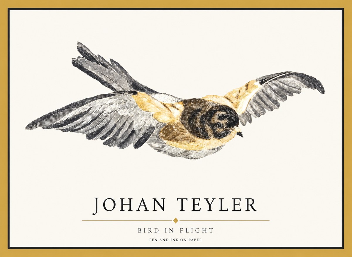 Johan Teyler Bird in Flight I No1 - Juliste