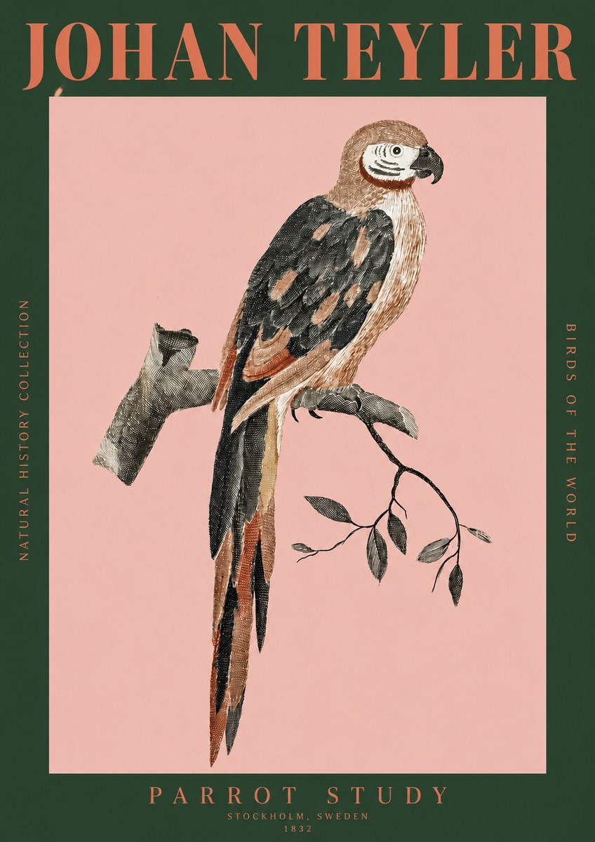 Johan Teyler Parrot Study I No2 - Juliste