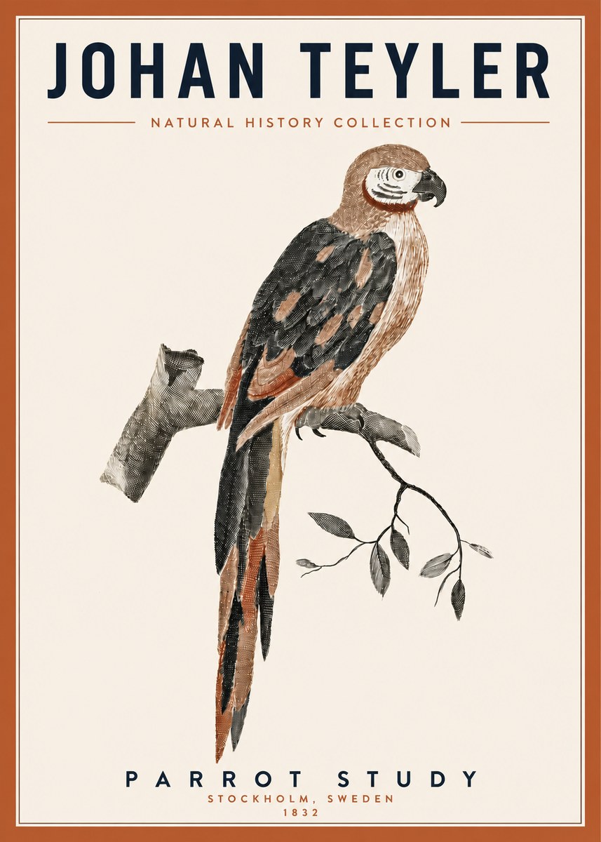 Johan Teyler Parrot Study I No3 - Juliste