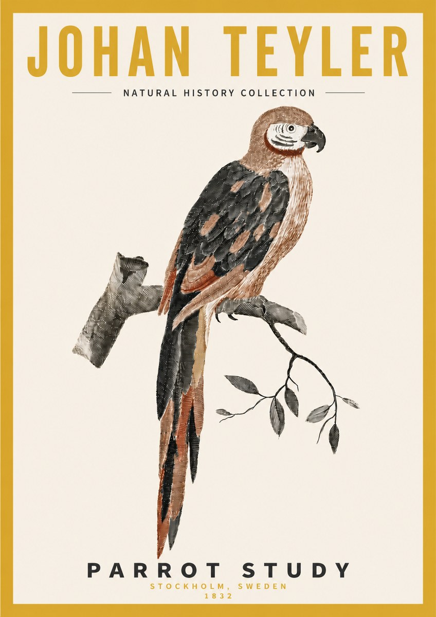 Johan Teyler Parrot Study I No4 - Juliste