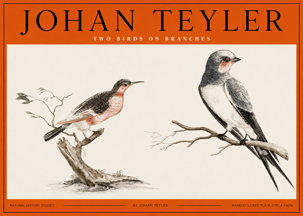 Johan Teyler Two Birds on Branches No2 - Juliste