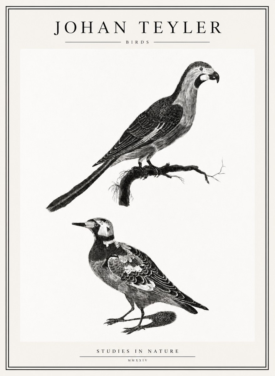 Johan Teyler Birds - Study of Two Species No2 - Juliste