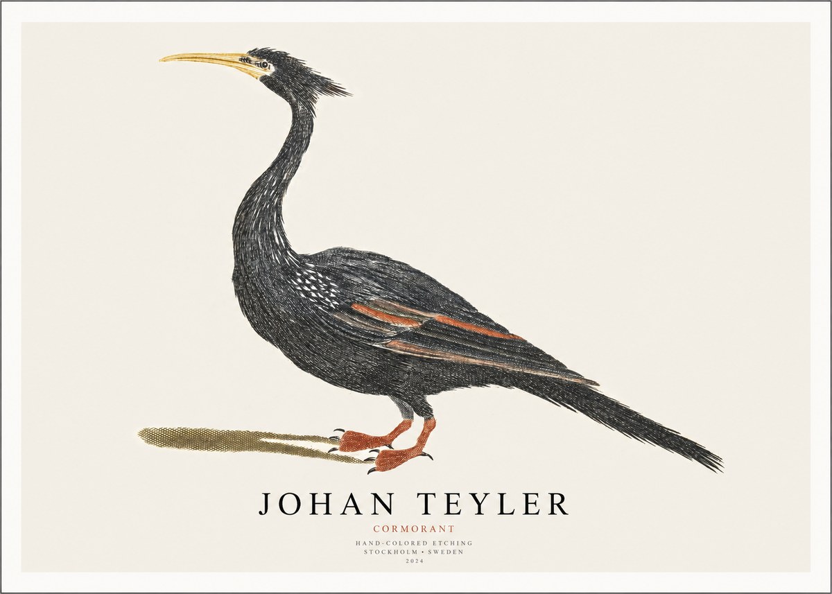 Johan Teyler Cormorant No1 - Juliste