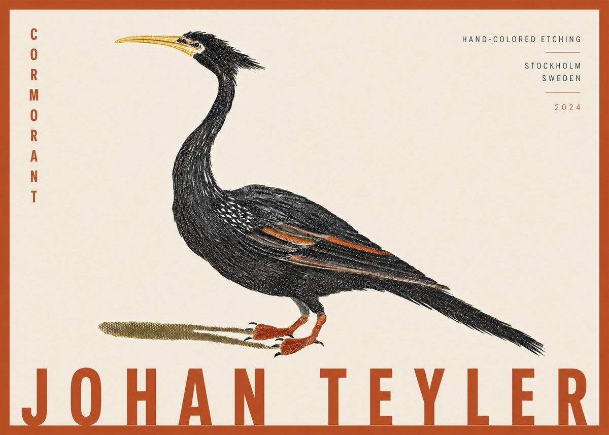 Johan Teyler Cormorant No4 - Juliste