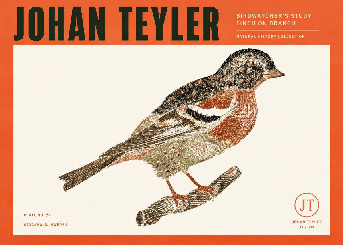 Johan Teyler Finch on Branch No2 - Juliste