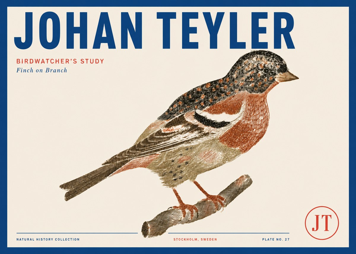 Johan Teyler Finch on Branch No3 - Juliste