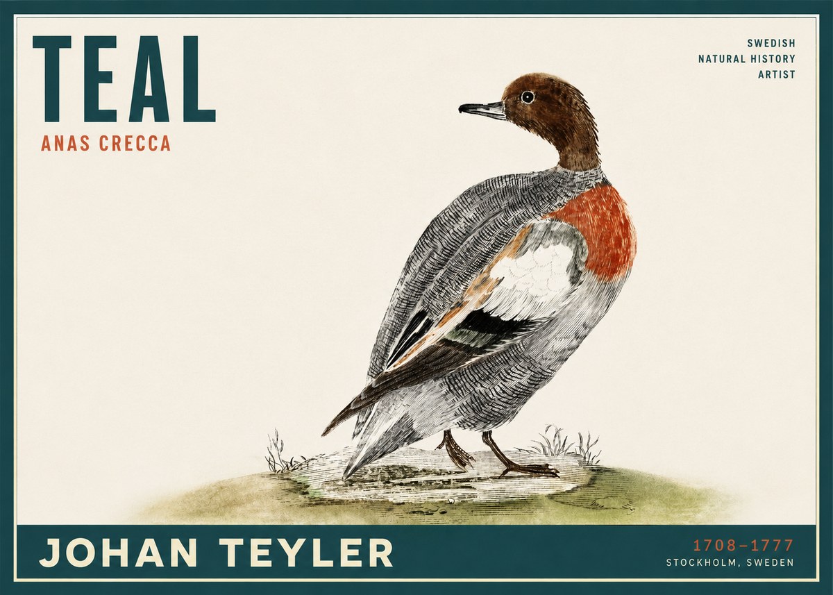 Johan Teyler Teal No2 - Juliste