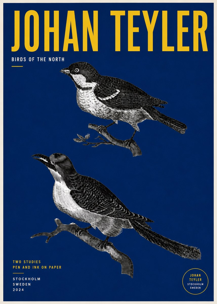 Johan Teyler Two Studies No5 - Juliste