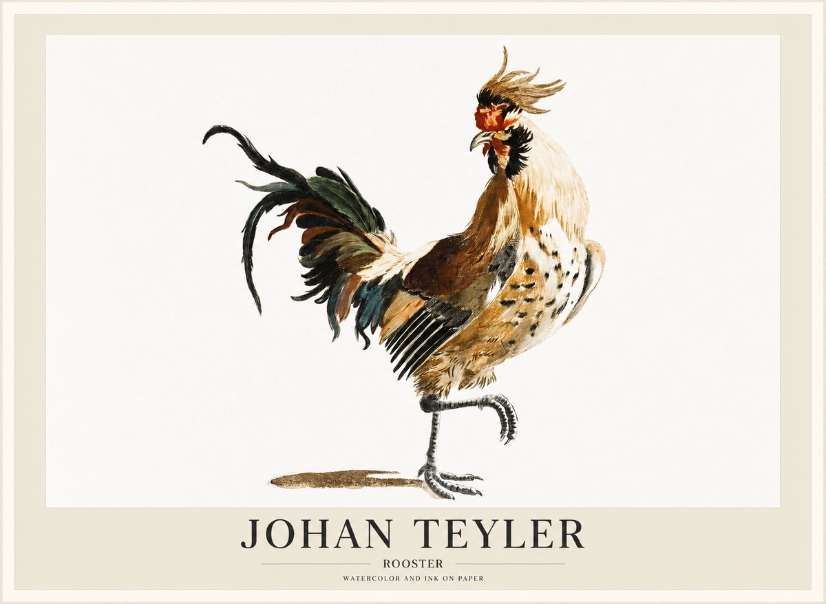 Johan Teyler Rooster No1 - Juliste