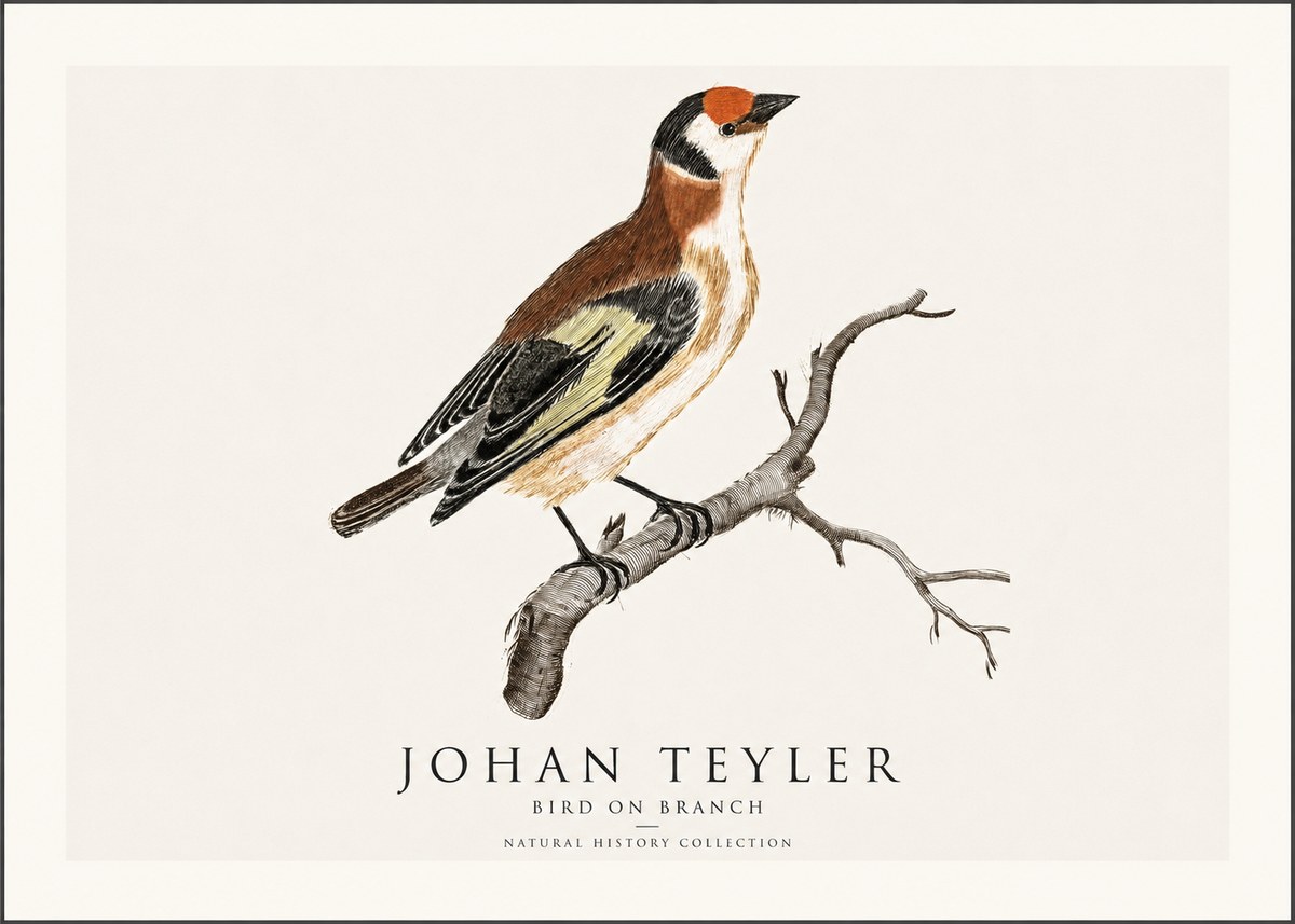 Johan Teyler Song of the Finch No2 - Juliste