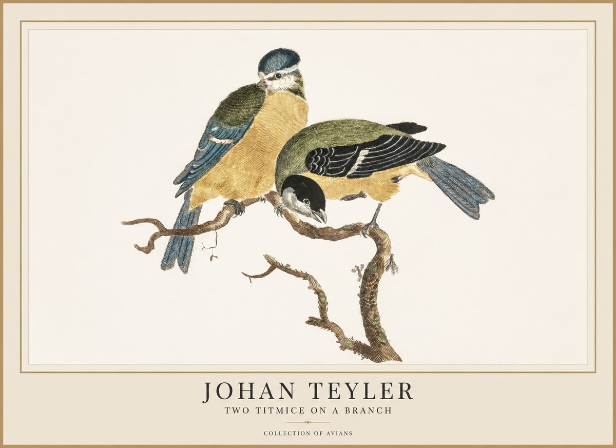 Johan Teyler Two Titmice on a Branch No1 - Juliste