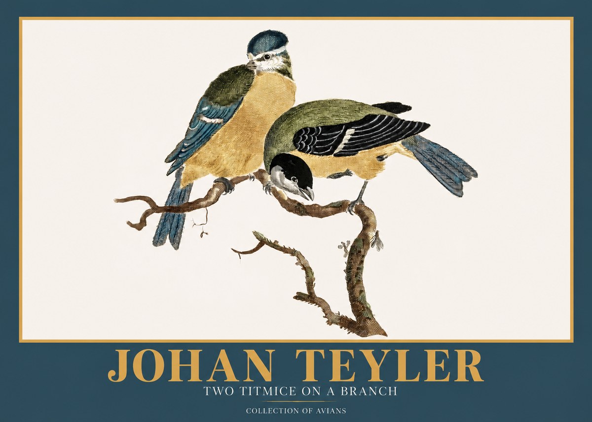 Johan Teyler Two Titmice on a Branch No2 - Juliste